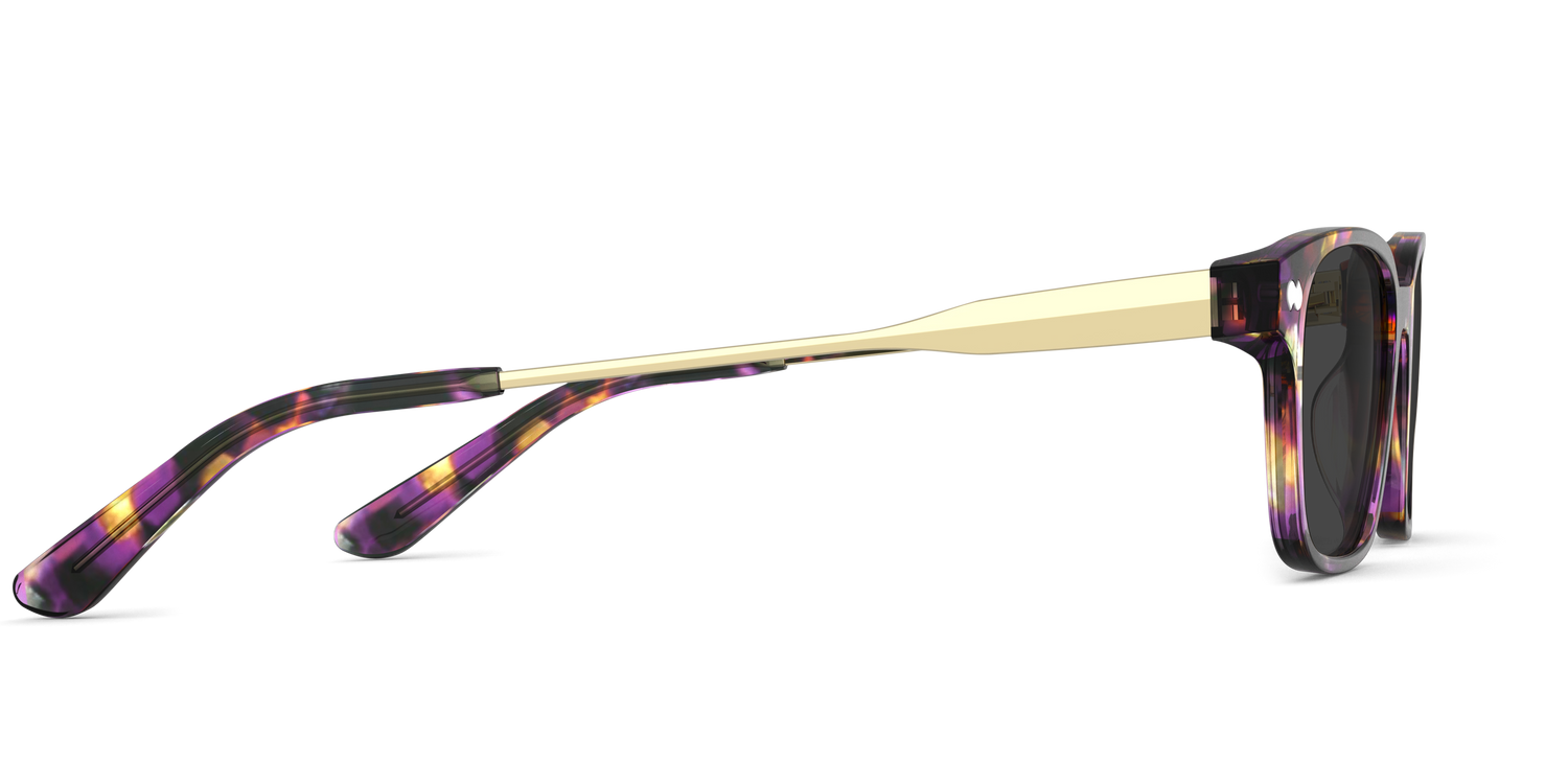The Finley - Purple Confetti Tortoise Acetate Gold Metal Sun - Carousel5 - Pair Eyewear