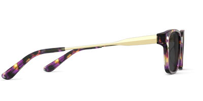 The Finley - Purple Confetti Tortoise Acetate Gold Metal Sun - Thumbnail5 - Pair Eyewear