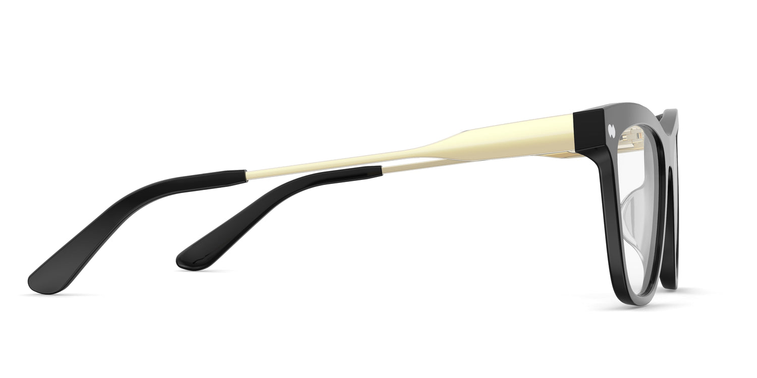 The Harper - Black Acetate Gold Metal - Carousel3 - Pair Eyewear