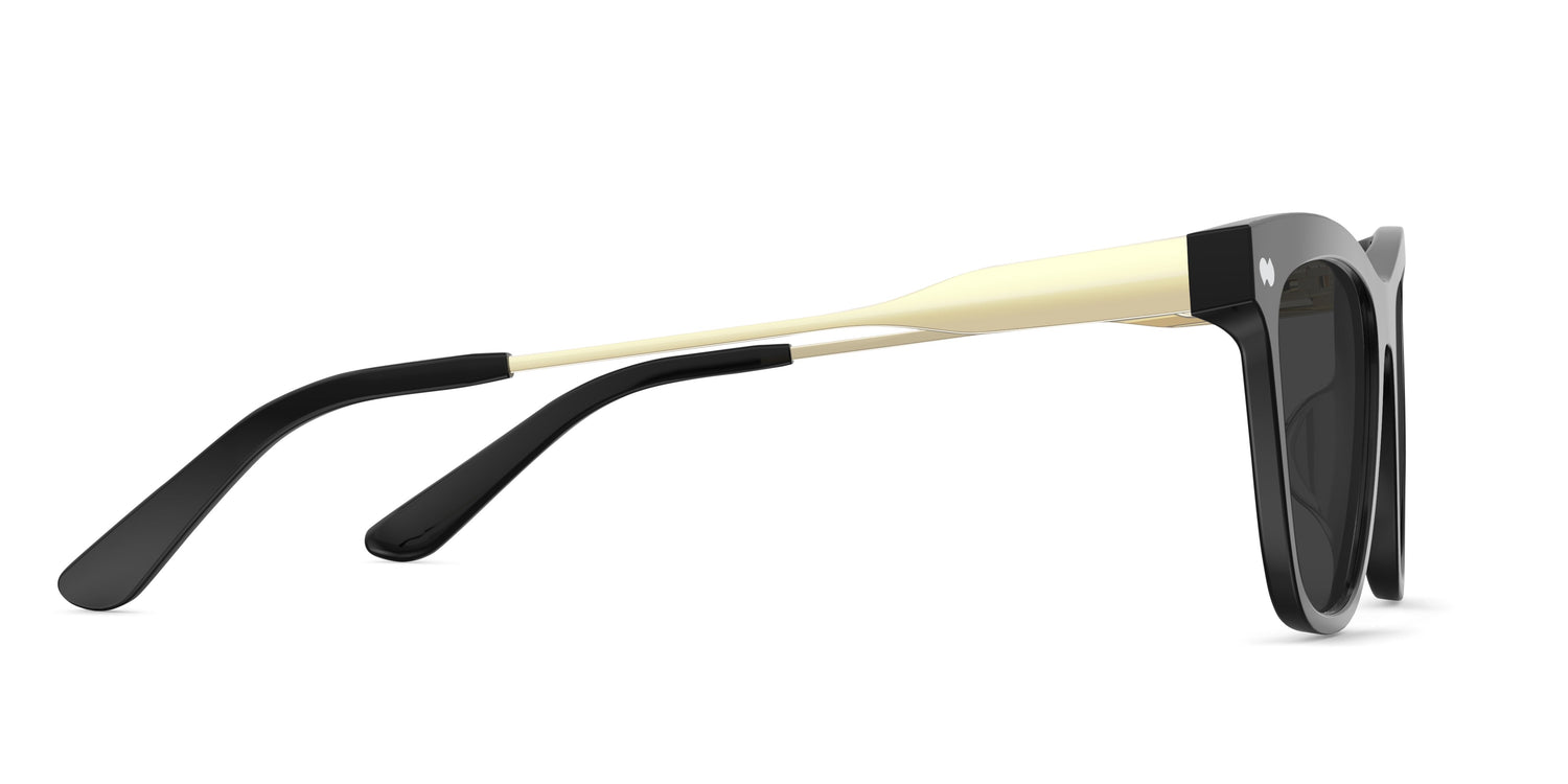 The Harper - Black Acetate Gold Metal Sun - Carousel5 - Pair Eyewear
