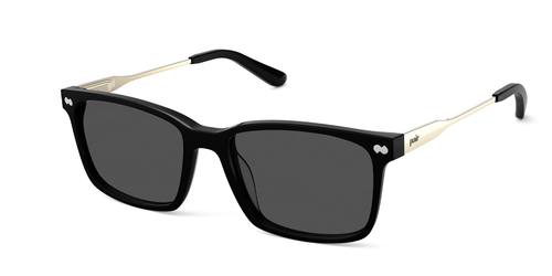 The Kirby - Black Acetate Gold Metal Sun - Pair Eyewear