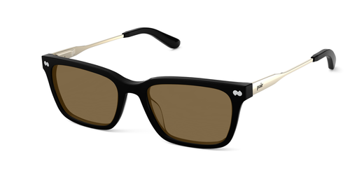 The Larkin - Black Acetate Gold Metal Sun - Secondary Image - Pair Eyewear