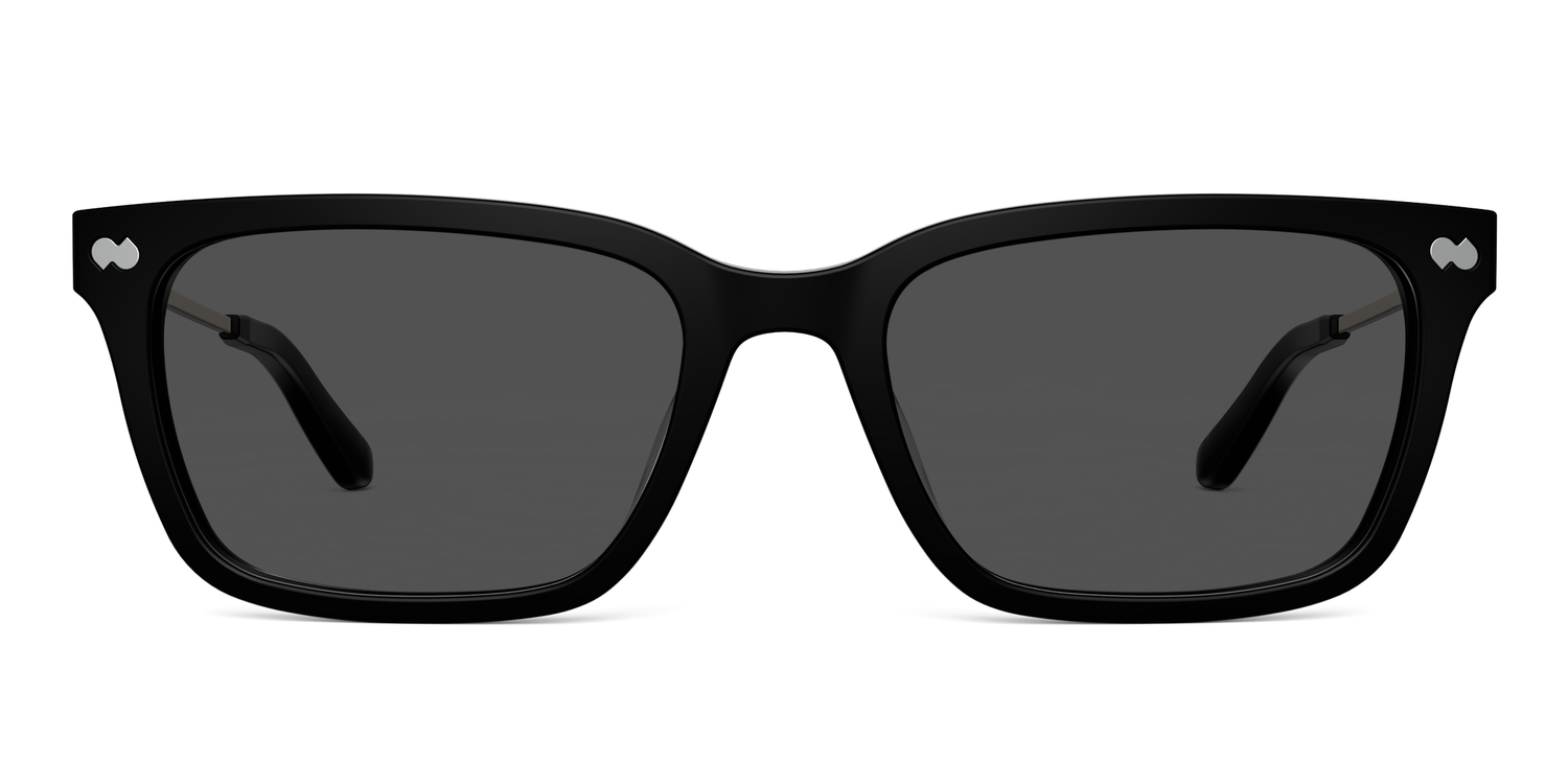 The Larkin - Black Acetate Gold Metal Sun - Carousel3 - Pair Eyewear