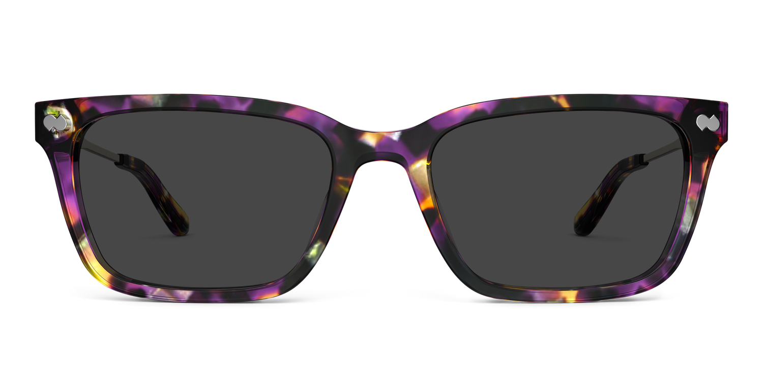 The Larkin - Purple Confetti Tortoise Acetate Gold Metal Sun - Carousel4 - Pair Eyewear