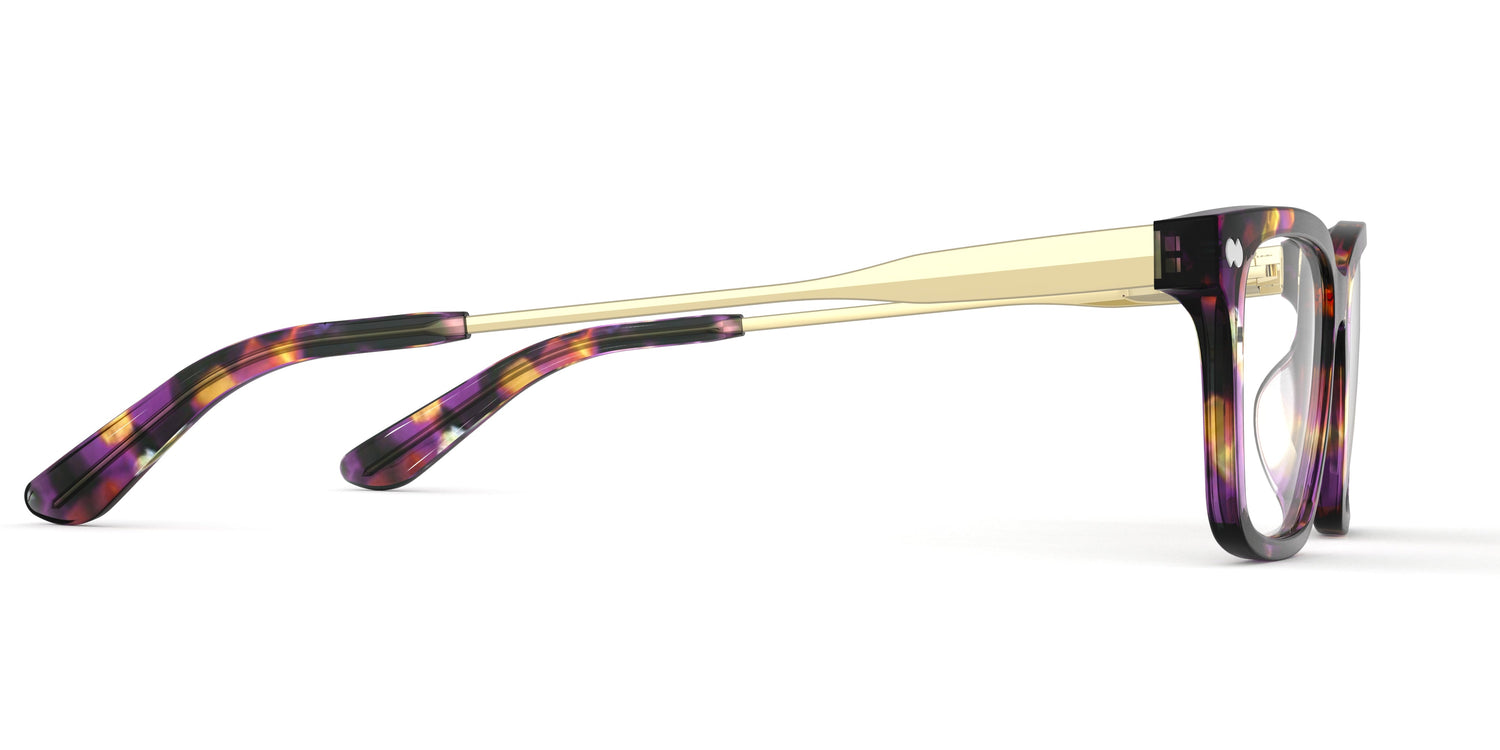 The Larkin - Purple Confetti Tortoise Acetate Gold Metal - Carousel3 - Pair Eyewear