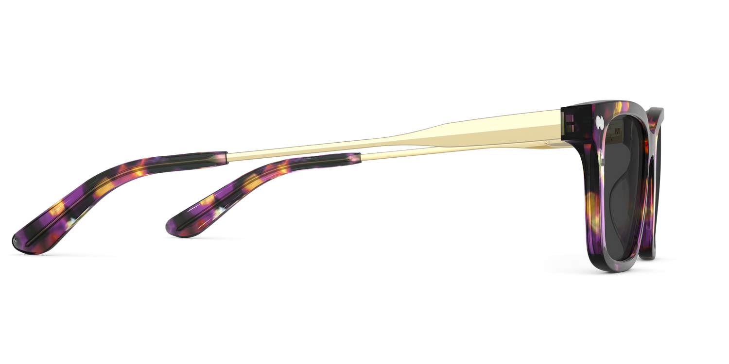 The Larkin - Purple Confetti Tortoise Acetate Gold Metal Sun - Carousel5 - Pair Eyewear
