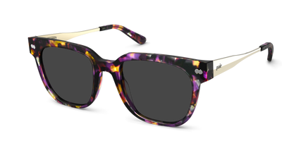 The Murphy - Purple Confetti Tortoise Acetate Gold Metal Sun - Thumbnail1 - Pair Eyewear