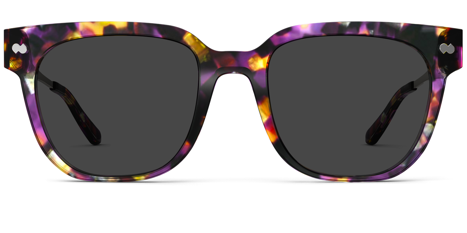 The Murphy - Purple Confetti Tortoise Acetate Gold Metal Sun - Carousel3 - Pair Eyewear