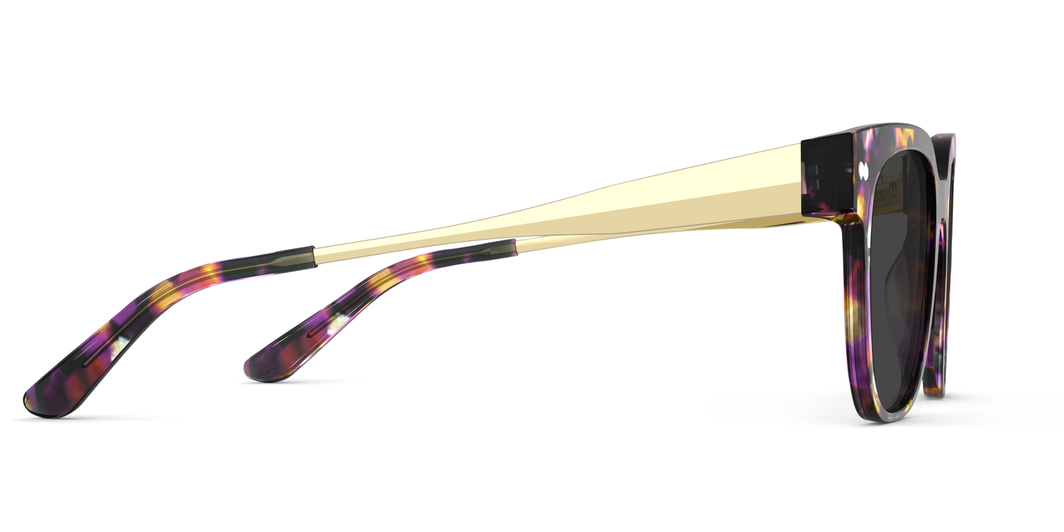 The Murphy - Purple Confetti Tortoise Acetate Gold Metal Sun - Carousel5 - Pair Eyewear