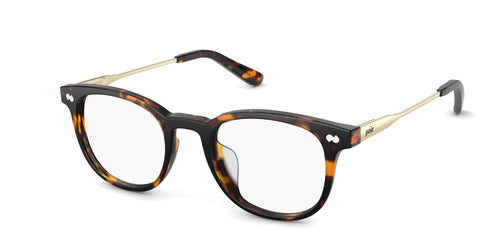 The Reese - Tortoise Acetate Gold Metal - Pair Eyewear