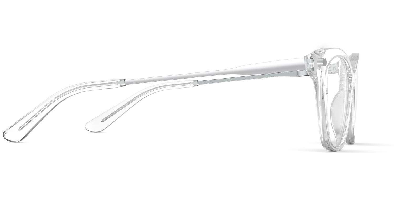 The Wanda - Crystal Clear Acetate Silver Metal - Carousel3 - Pair Eyewear