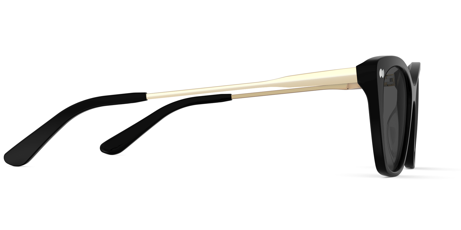 The Wanda - Black Acetate Gold Metal Sun - Carousel5 - Pair Eyewear