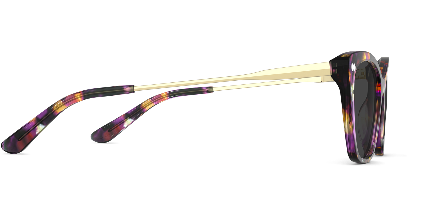 The Wanda - Purple Confetti Tortoise Acetate Gold Metal Sun - Carousel5 - Pair Eyewear