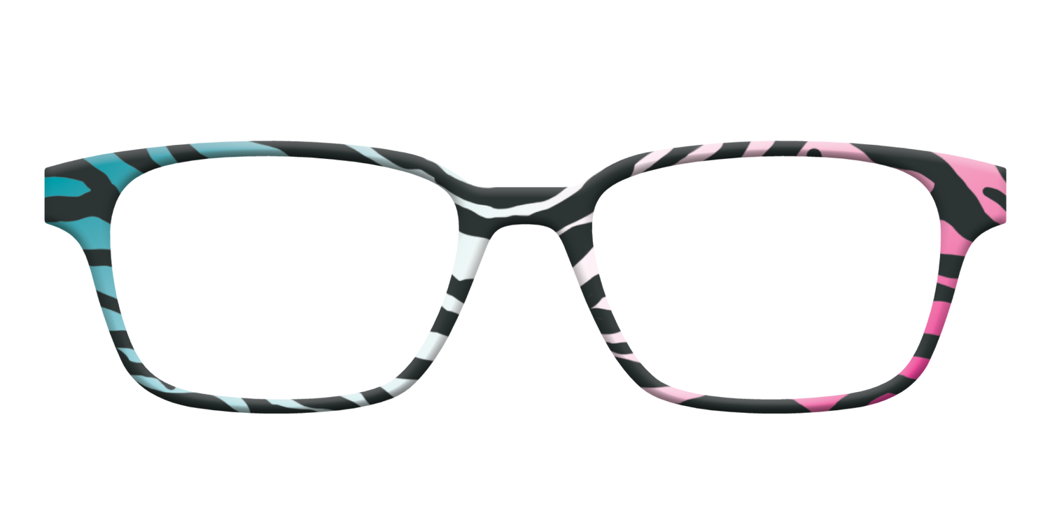 The Rainbow Zebra - Front Top Image - Pair Eyewear